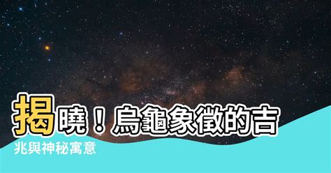 烏龜象徵|烏龜是什麼神？淺談烏龜在各文化中的象徵意義及其神秘傳說